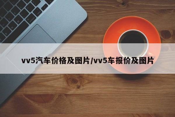 vv5汽车价格及图片/vv5车报价及图片